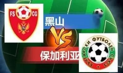 伊甸园大象
