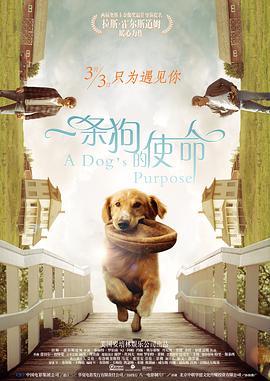 姐姐的朋友2