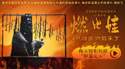 红杏视频网站