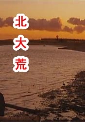 伦理映画
