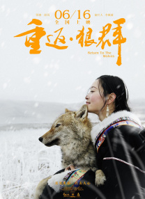 偷香高手完整版免费观看